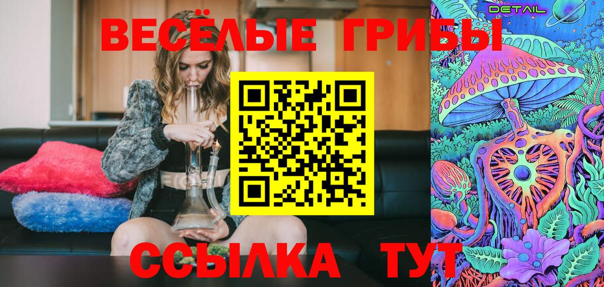Златоуст  Галлюциногенные грибы прущие грибы  Вход с VPN 